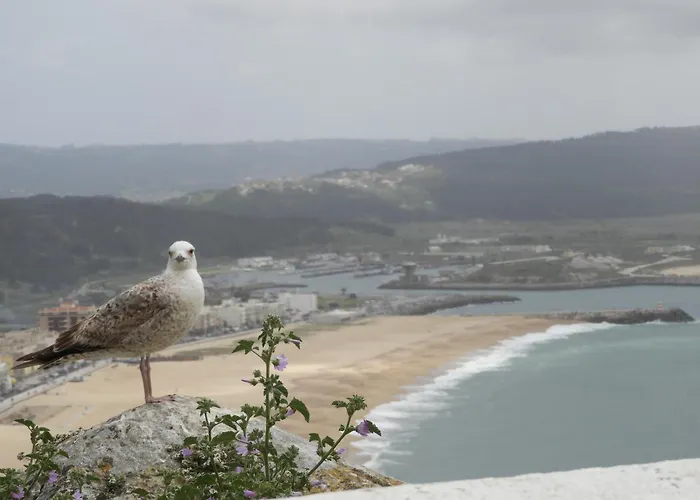 Girasol Appartement A Nazare