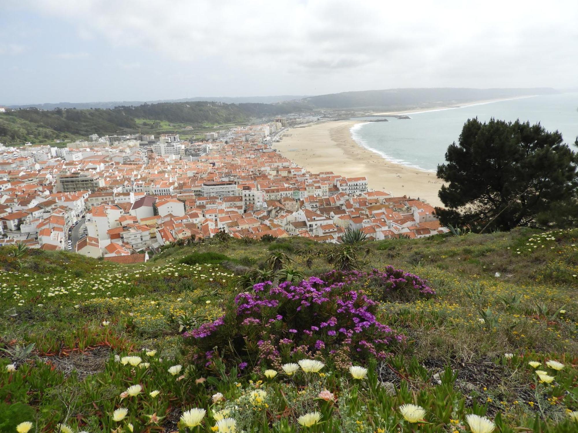 Apartment Girasol A